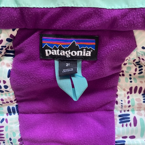 Patagonia Toddler Girl Snow Pile Winter Snow Jacket Waterproof/Insulated Size 2T - Picture 3 of 15